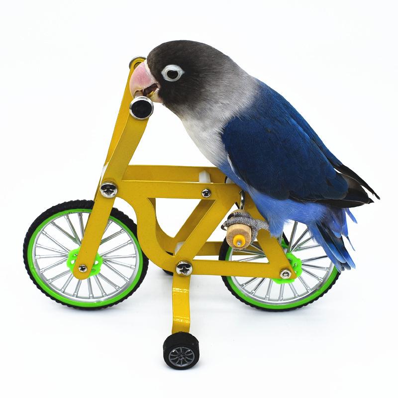 Parrot Bicycle Toy: Interactive Training Tool for Small Birds
