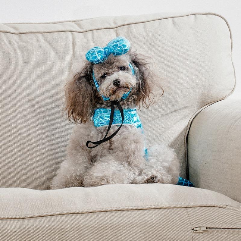 Mermaid Accessories, Small Dogs, Cat and Dog Clothes, Cute Little Dog Clothing, Autumn and Winter Clothing, Pet Clothes