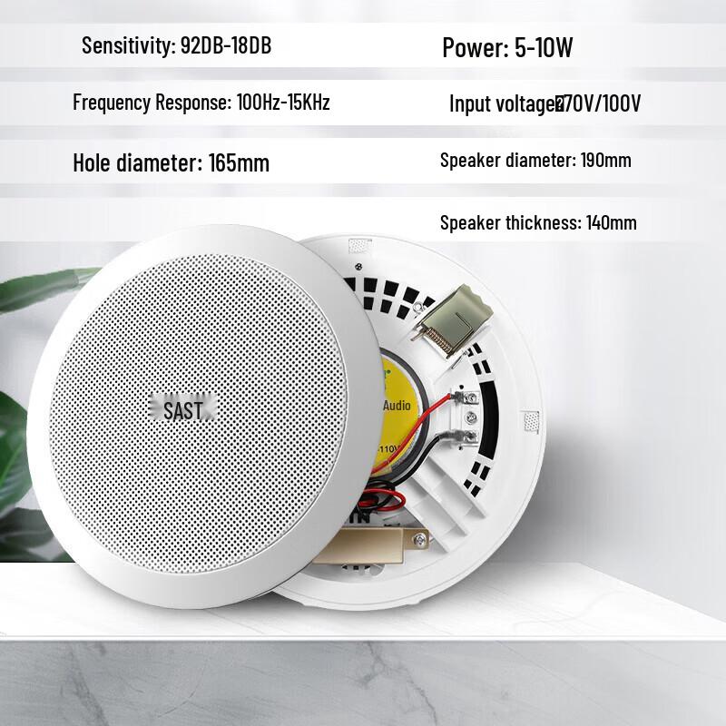 SAST X6 Ceiling Speaker System with Amplifier (CN version)