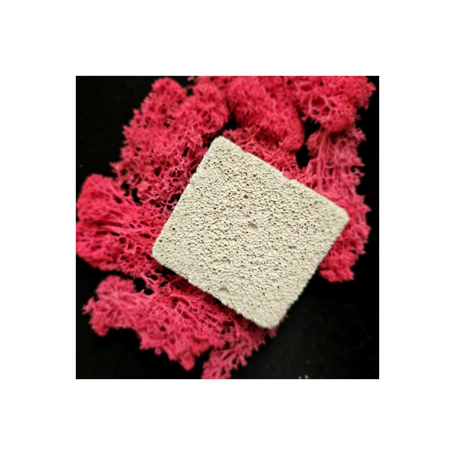 

Heel Stone Pumice Stone