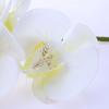 6 Head Artificial Phalaenopsis Orchid Flowers Fade Resistance Faux Orchid Stems for Vase Home Decor White