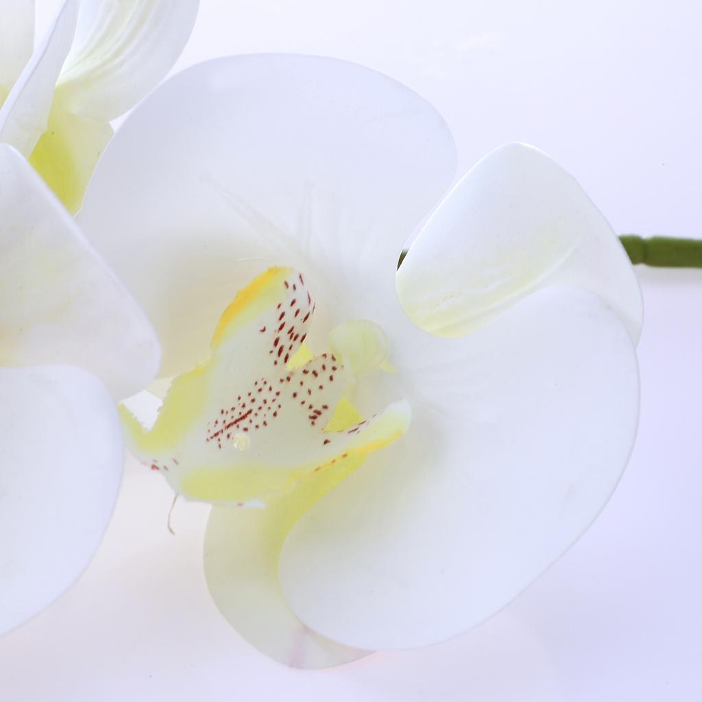 6 Head Artificial Phalaenopsis Orchid Flowers Fade Resistance Faux Orchid Stems for Vase Home Decor White