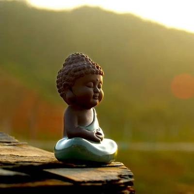 Miniature Buddha Figure , Single Sell , Small Monk Figurines Fairy Garden Supplies Terrarium Accessories