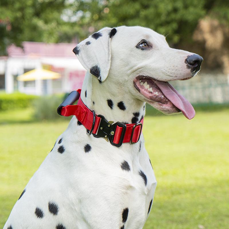 Pet Collar Explosion Proof Impact Resistant Pull Resistant Dog Collar Medium To Large Dog Collar Tactical Collar