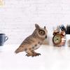 Lifelike Simulation Owl Model Plastic Animal Toy Table Desktop Display Children Gift Home Decor