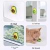 Avocado Catnip Self-Play Toy: Gall Fruit Lickable Cat Entertainment