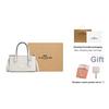 Coach Nina 17 Monochrome Logo Magnetic Snap Crossbody Bag Women Handbags Silver White CT804-SVHA