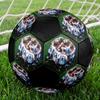Pallone da calcio ufficiale dell'Argentina, Taglia 5, Cucito a macchina in PVC, Resistente e ad alto rimbalzo, Adatto a tutte le età, Merchandising per tifosi, per partite e uso all'aperto.