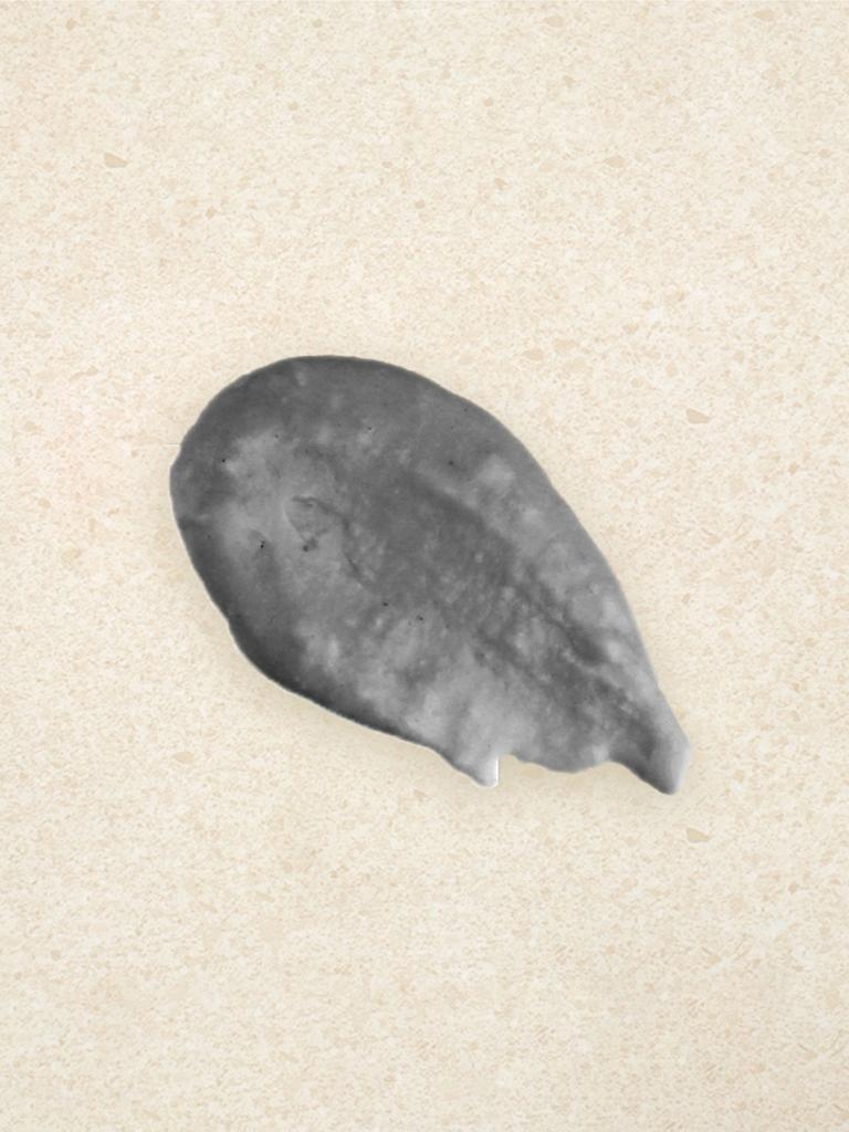 Lindsay Charcoal Modeling Mask Pack 28g - Pore Cleansing Facial