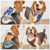 Chest for Dog Harness for Dogs Puppy Accessories Collars Harnesses Leashes Pet Dog Products Collar Leash