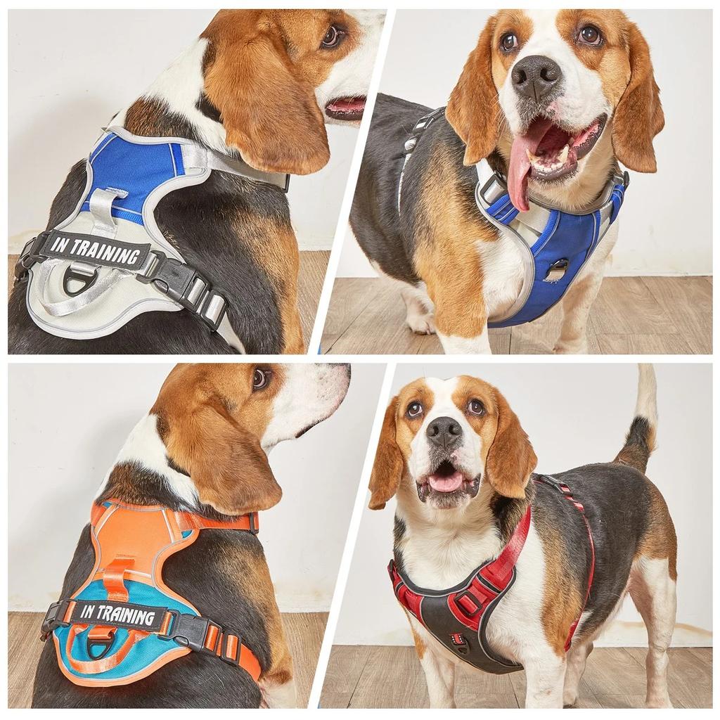 Chest for Dog Harness for Dogs Puppy Accessories Collars Harnesses Leashes Pet Dog Products Collar Leash