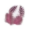 Set of 50 Pheasant Rooster Feathers Chicken Feathers Costume Millinery Craft