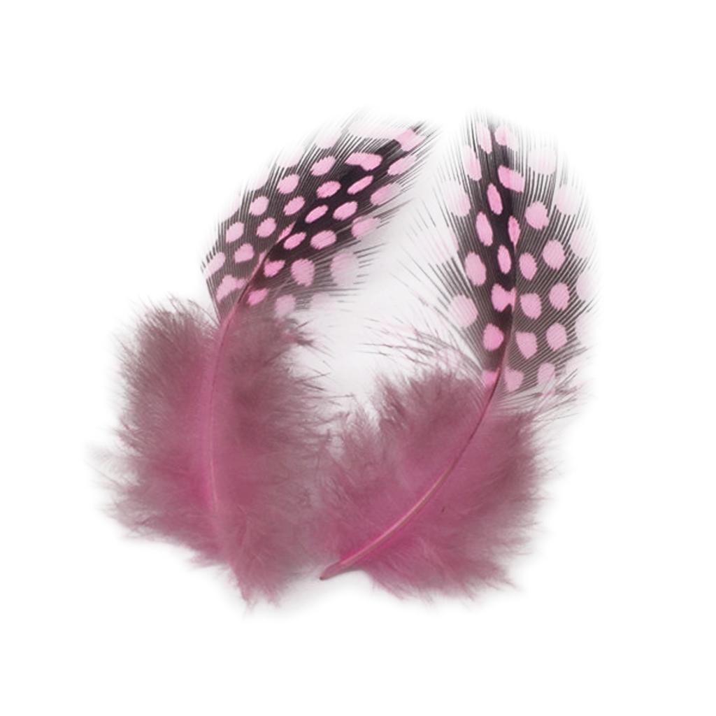 Set of 50 Pheasant Rooster Feathers Chicken Feathers Costume Millinery Craft
