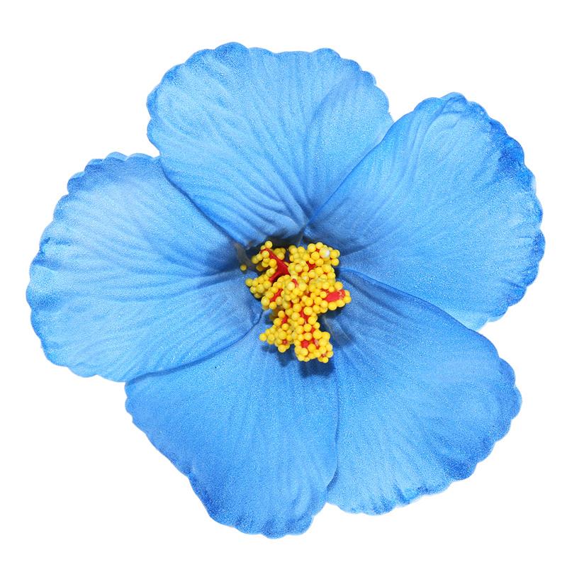 Hawaiian Colorful Flower Hair Clip For Women Girls Romantic Bohemian Flower Side Bangs Clip Bb Hair Clips Hair Accessories