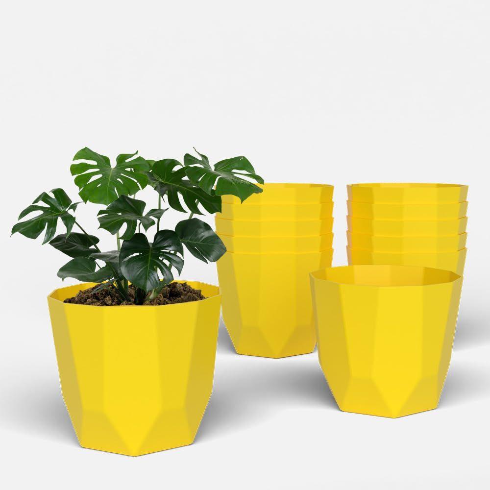 Hexa 6 Inch Pack of 12 Piece Plastic Plant Pot for Home Decor Indoor Plant Pots for Living Room Plastic Flower Pot for Garden (Yellow)