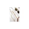 KIMIO K6236 Women's Simple Fashion Watch Gold Rose Design Elegant Timepiece