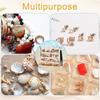 16-Grid Seashell Display Box Acrylic with Magnets Storage Display Organizer Box Durable Seashell Storage Box