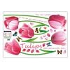 Flower Tulip Removable Wallpaper Wall Sticker DIY Decal Living Kids Room Decor