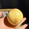 Klebriger Knuspriger Weicher Kartoffel Stressball Quetschspielzeug Stressabbau Geräuschvolle Spielzeuge Handgefertigter Ball Taktile Entspannung Knetspielzeug