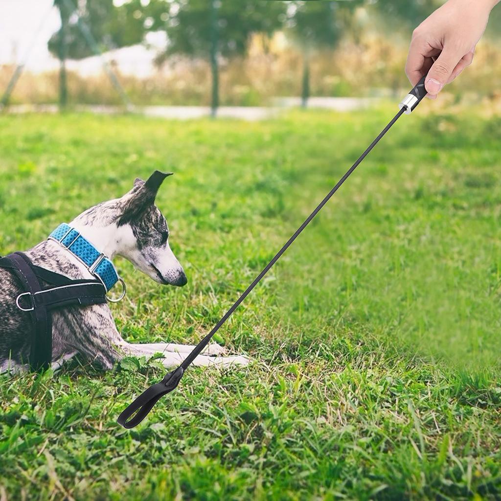 Black Fiber Reinforced Plastic Pet Training Whips Tool Supplies for Dog Behavior Management Horse Riding