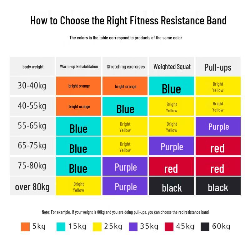 Fasce di Resistenza per Trazioni Fitness PROIRON