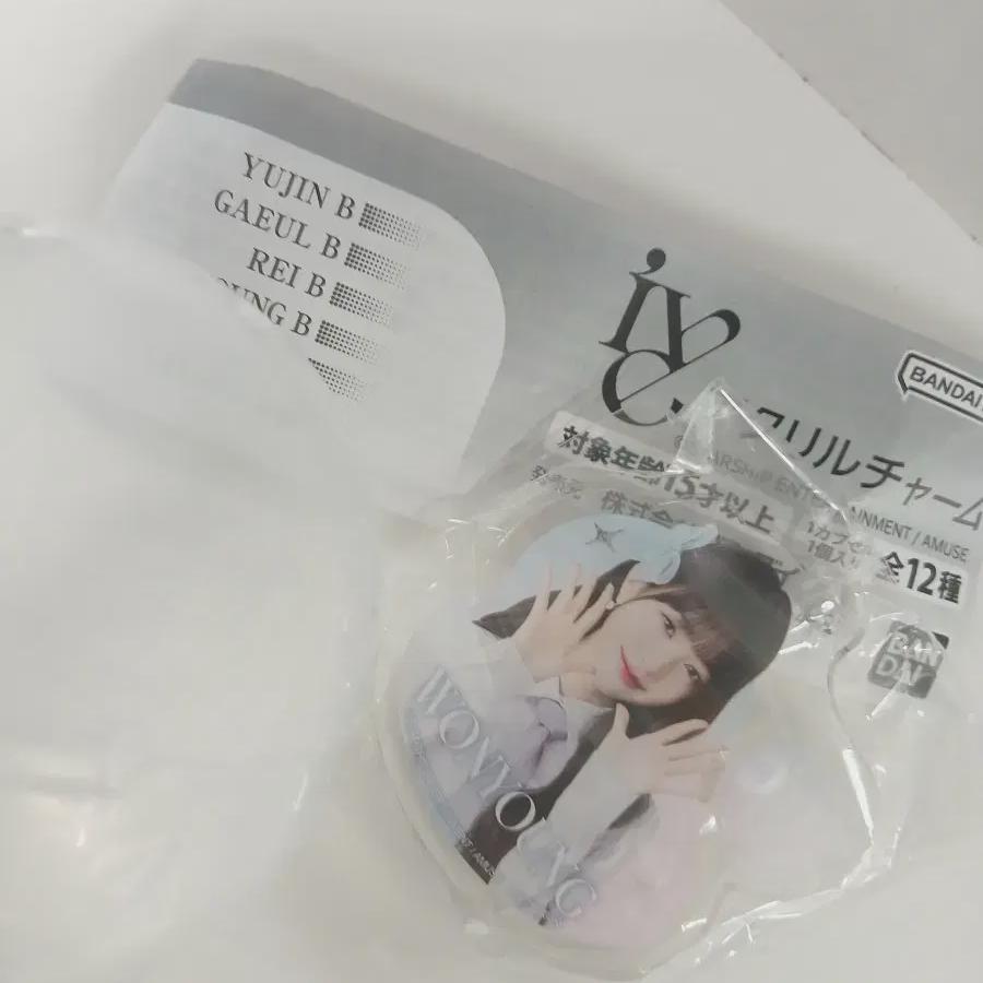 Ive Japan Keyring Wonyoung