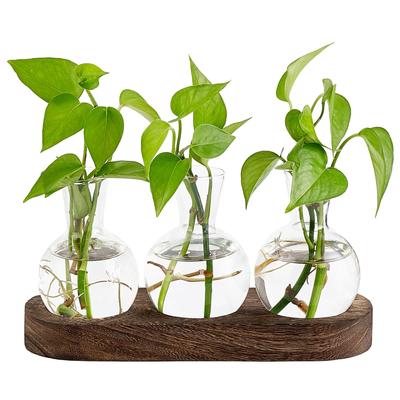 Decorazioni per la casa – Vasi