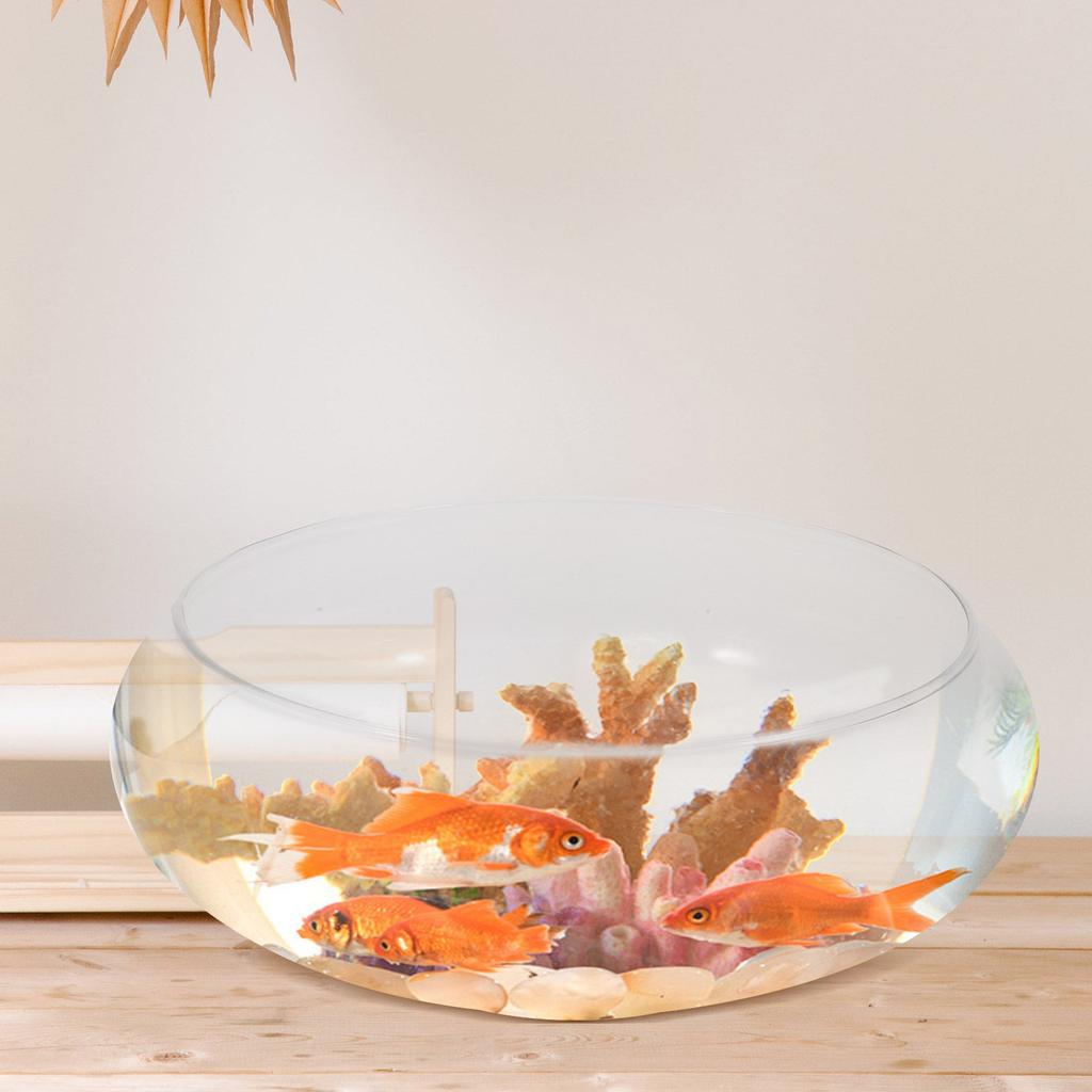 Glass Fish Bowl Small Desktop Aquarium Transparent Fish Tank Goldfish Bowl Hydroponic Plant Vase for Home Glass Round Aquarium