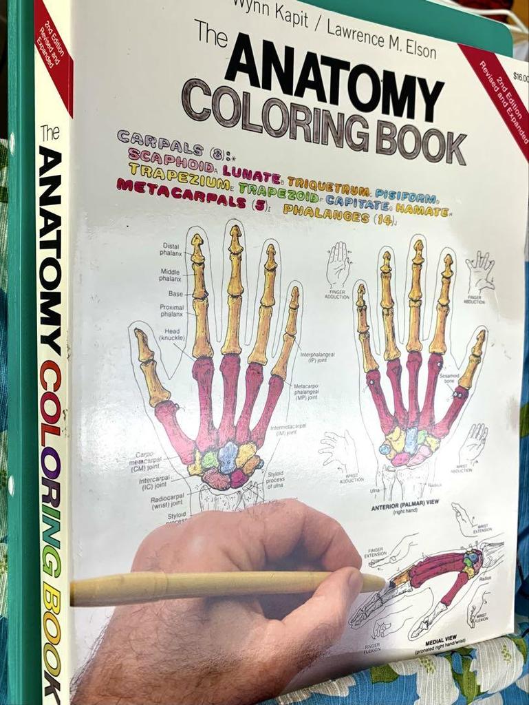 [USED] English version "The Anatomy Coloring Book" Anatomy coloring book