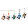 [Film Lab] [Set of 5pcs] Transparent Photo Case for Instax Mini Photo with Flower Clip CAC14