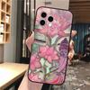 Phone Case For iphone 17 Pro Max 17 Pro Air 16 15 14 13 Pro Max 15 16 Pro 15Plus buddha