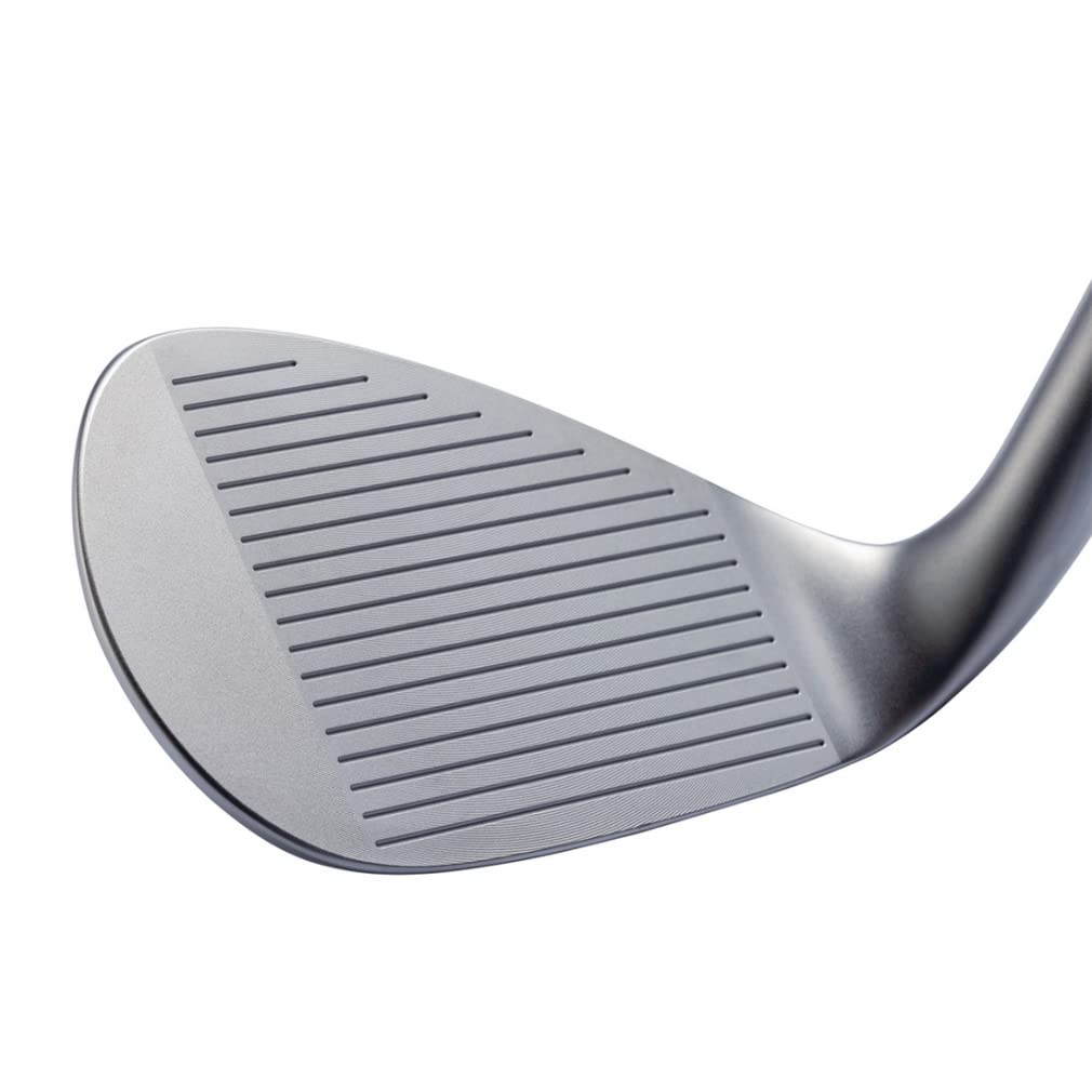 Kasco Dolphin Wedge Dolphin WEDGE 56 Silver DW-123 DP-231