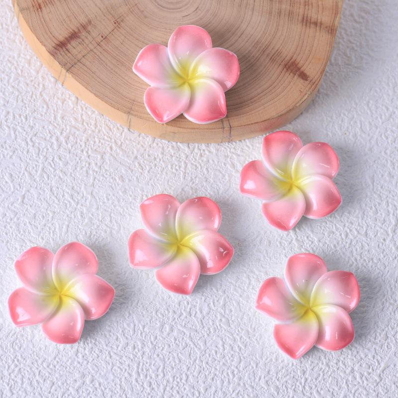 Frangipani Harzblume DIY Schmuck: Schlüsselanhänger, Anhänger, Haarspangen und Aufnäher