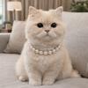 Bling Cat Bead Collar Adjustable Pet Simulated Pearl Collar Fashionable Cat Princess Collars  Party