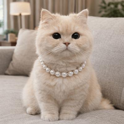 Katten – Kattenhalsbanden en -riemen