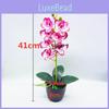 Phalaenopsis Aphrodite Rchb Artificial Plant With Silk Flowers For Home Decor And Gift Giving