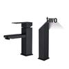 TLXT Black Hot and Cold Basin Faucet