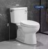 Shengbai Two-Piece Flush Toilet 765