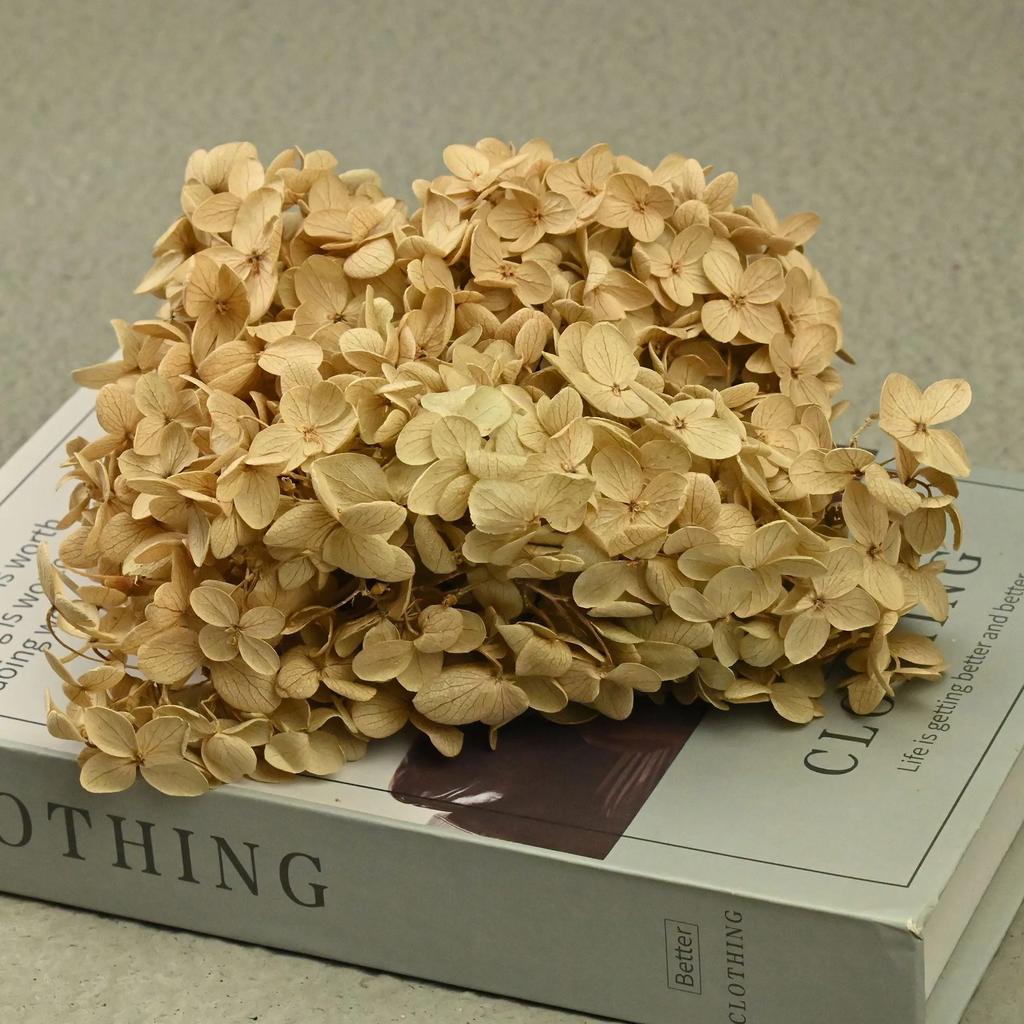 20g Natural Dried Flowers Hydrangea Macrophylla Home Flowers Decoration Wedding Celebration Bouquet Materials