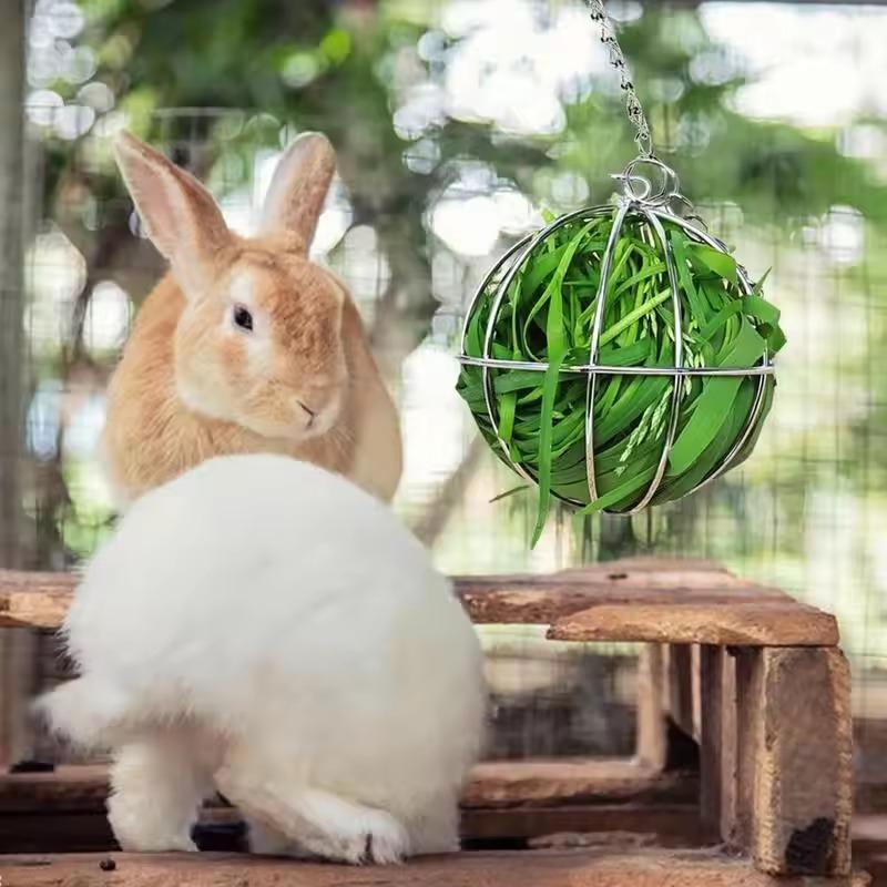 Articoli per Animali Domestici Portabottiglie Acciaio Inossidabile Placcato Porta Fieno a Sfera Distributore di Cibo Giocattolo a Sfera da Appendere Porcellino d'India Criceto Ratto Coniglio