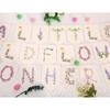 A Little Wildflower Is On the Way Hanging Banner - Wild One Baby Girl Birthday Banner, Wildflower Baby Shower Party Decorations, Market Farmers