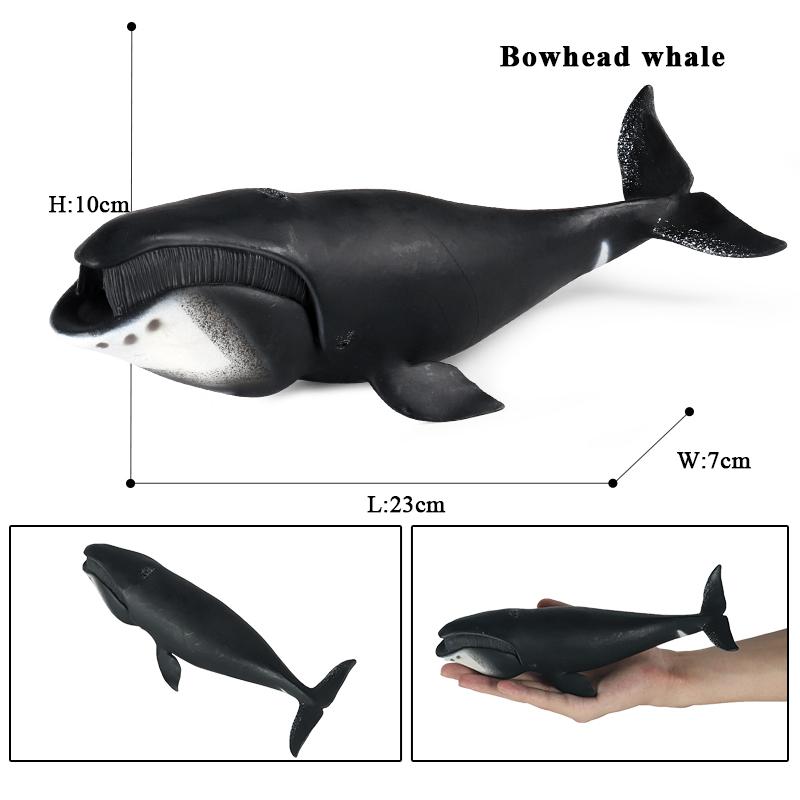 Oenux Ocean Animal Savage Megalodon Beluga Big Shark Orca Sperm Blue Whale Action Figures Sea Life Model Educational Kids Toy