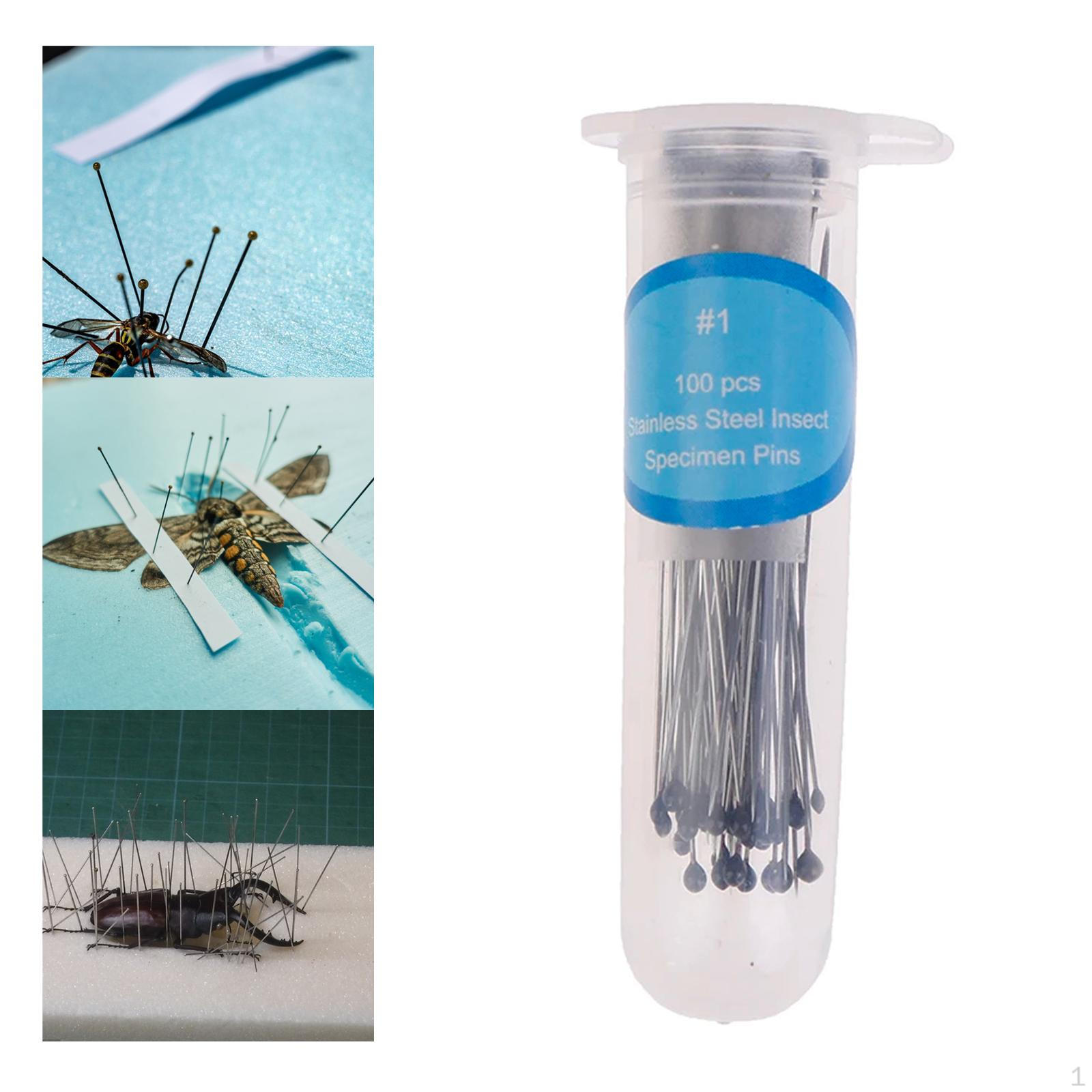 

100 шт., булавки для насекомых, энтомология, наука, образование, монтаж образцов Diameter 0.32mm