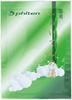 Phiten Medicinal Faiten No Yu (1 Box of 30 Bags)