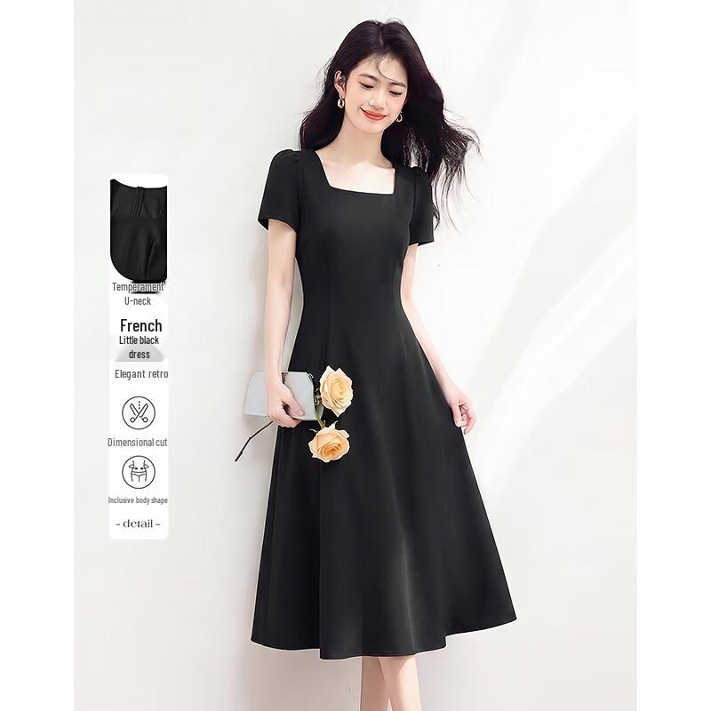 Elegant Petite Summer A-line Dress L