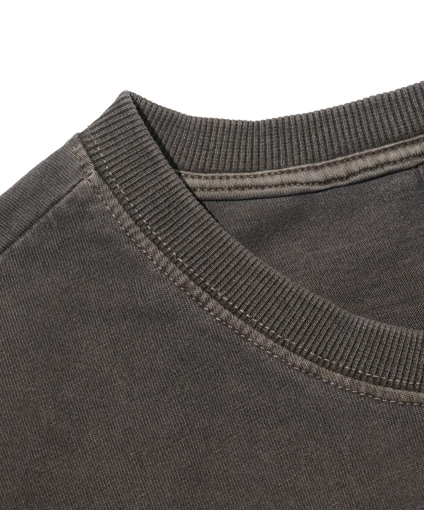 OTHERFITS Pigment Plain Crop Short Sleeve Tee (Brown)
