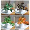 Miniature Succulent Bonsai Desk Ornament: Green Plant Props for Home or Office Decor