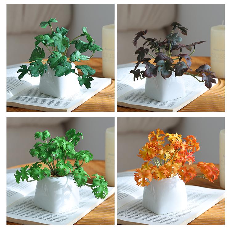 Miniature Succulent Bonsai Desk Ornament: Green Plant Props for Home or Office Decor