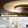 Iris Ohyama Small Ceiling Light with Light Guide Plate, 1500lm, Daylight White, SCL-150D-LGP