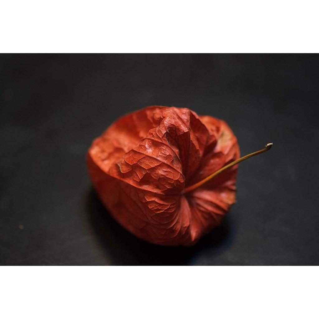 FUJIFILM FUJINON XF60mm F2.4 R Macro Lens - Mid-Telephoto Prime Lens for Sharp Close-Ups